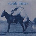 GEILE TIERE - Geile Tiere