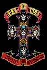 Guns N Roses Poster